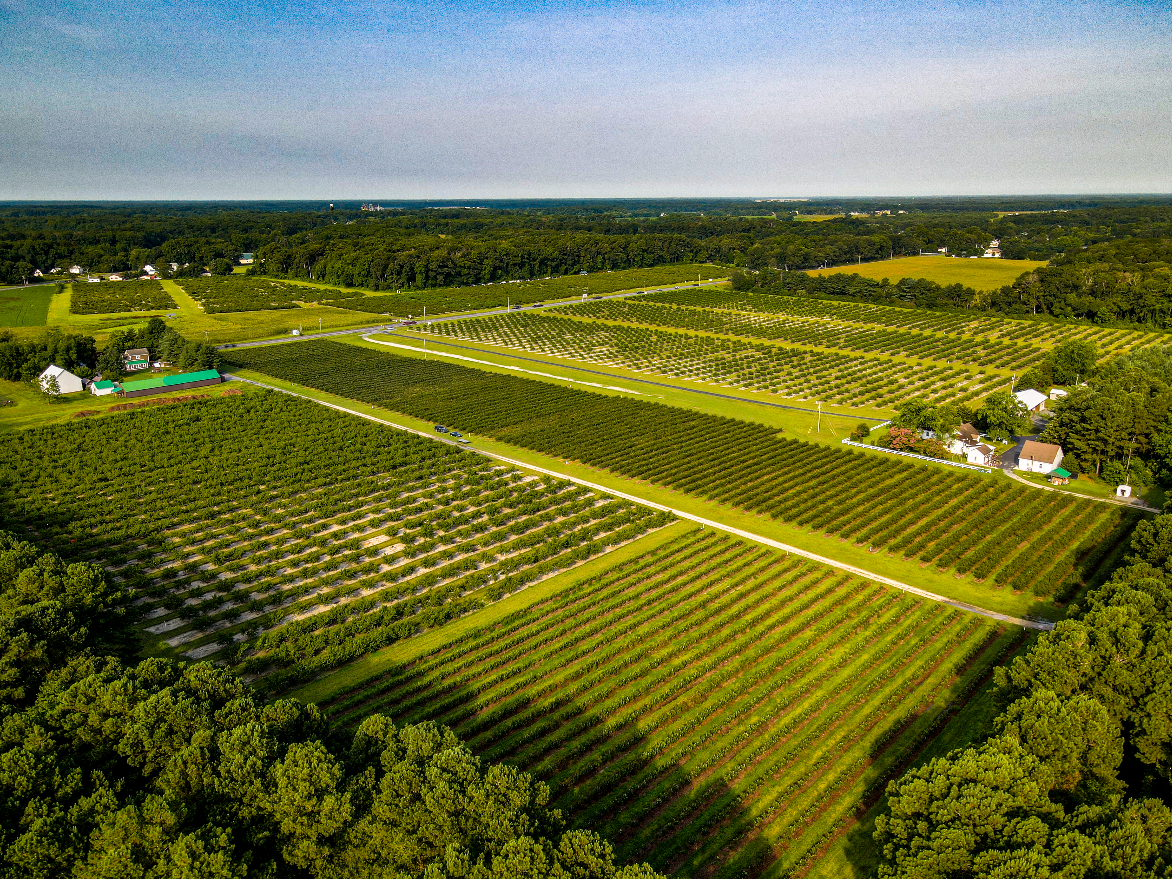 Bennett Orchards - Visit Us